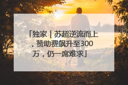 独家｜苏超逆流而上，赞助费飙升至300万，仍一席难求