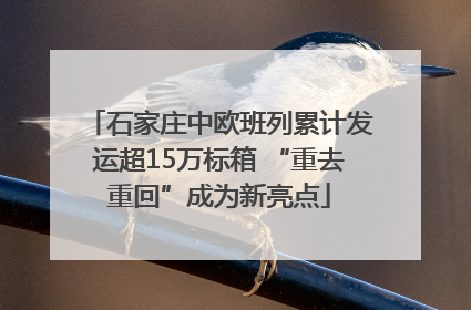 石家庄中欧班列累计发运超15万标箱 “重去重回”成为新亮点