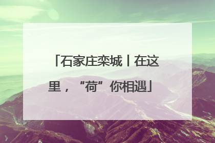 石家庄栾城丨在这里，“荷”你相遇