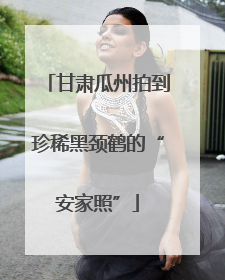甘肃瓜州拍到珍稀黑颈鹤的“安家照”