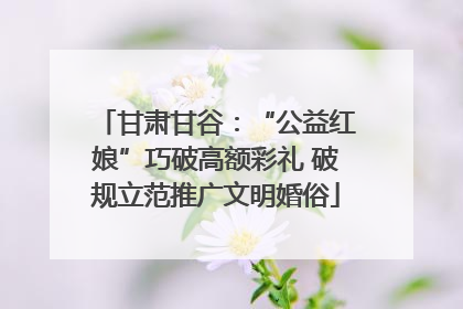 甘肃甘谷：“公益红娘”巧破高额彩礼 破规立范推广文明婚俗