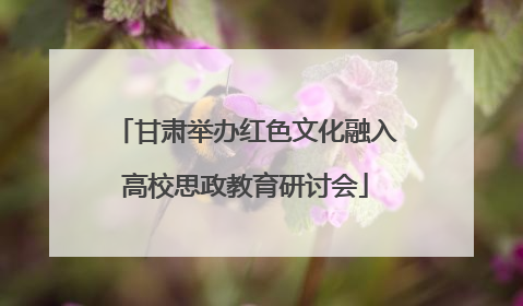 甘肃举办红色文化融入高校思政教育研讨会