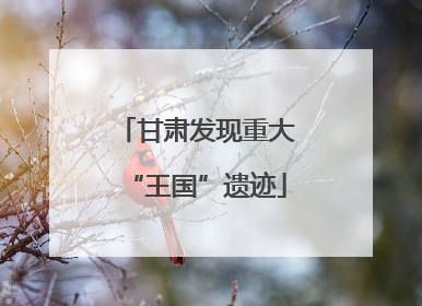 甘肃发现重大“王国”遗迹
