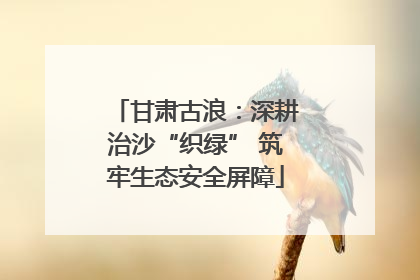 甘肃古浪：深耕治沙“织绿” 筑牢生态安全屏障