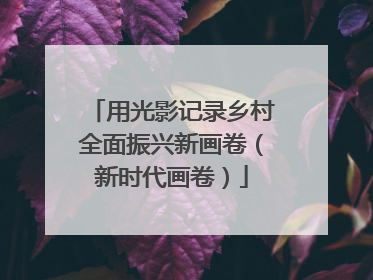 用光影记录乡村全面振兴新画卷（新时代画卷）
