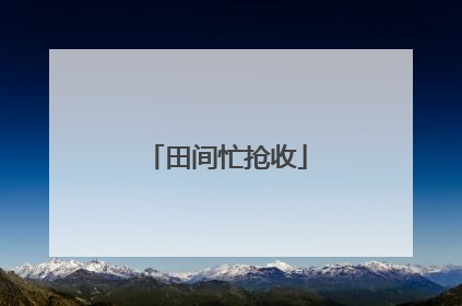 田间忙抢收