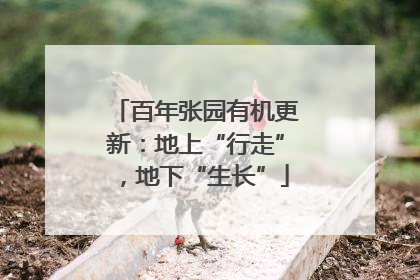 百年张园有机更新：地上“行走”，地下“生长”