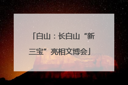 白山：长白山“新三宝”亮相文博会
