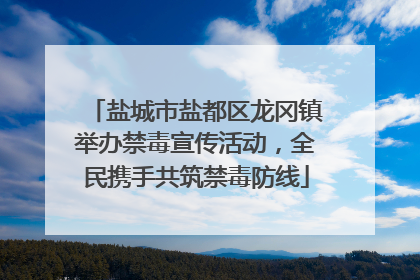盐城市盐都区龙冈镇举办禁毒宣传活动，全民携手共筑禁毒防线
