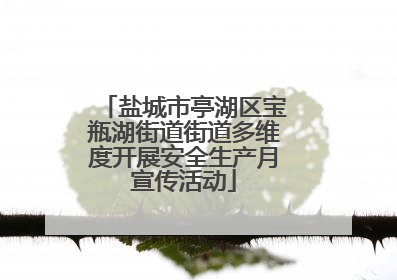 盐城市亭湖区宝瓶湖街道街道多维度开展安全生产月宣传活动