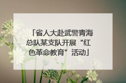 省人大赴武警青海总队某支队开展“红色革命教育”活动