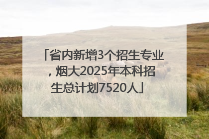 省内新增3个招生专业，烟大2025年本科招生总计划7520人