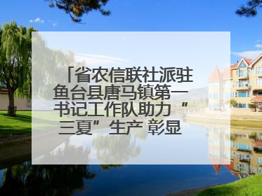 省农信联社派驻鱼台县唐马镇第一书记工作队助力“三夏”生产 彰显为民担当