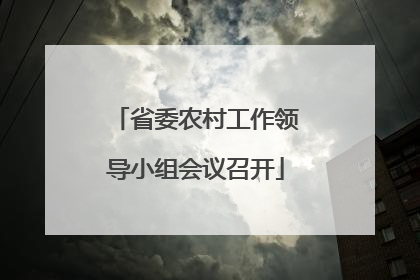 省委农村工作领导小组会议召开