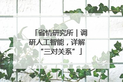 省情研究所｜调研人工智能，详解“三对关系”