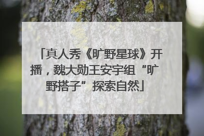 真人秀《旷野星球》开播，魏大勋王安宇组“旷野搭子”探索自然