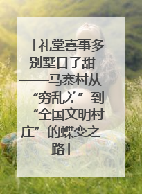 礼堂喜事多 别墅日子甜——马寨村从“穷乱差”到“全国文明村庄”的蝶变之路