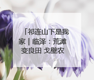 祁连山下是我家｜临泽：荒滩变良田 戈壁农业添“绿”生“金”