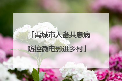 禹城市人畜共患病防控微电影进乡村