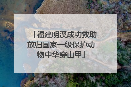 福建明溪成功救助放归国家一级保护动物中华穿山甲