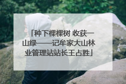 种下棵棵树 收获一山绿——记牟家大山林业管理站站长王占胜