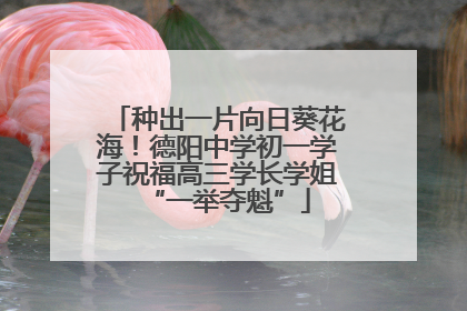 种出一片向日葵花海！德阳中学初一学子祝福高三学长学姐“一举夺魁”