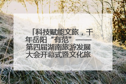 科技赋能文旅，千年岳阳“有范”——第四届湖南旅游发展大会开幕式暨文化旅游推介会侧记