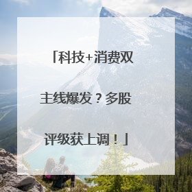 科技+消费双主线爆发？多股评级获上调！