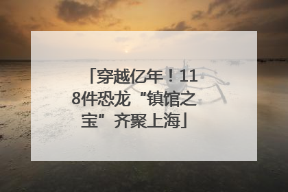 穿越亿年！118件恐龙“镇馆之宝”齐聚上海