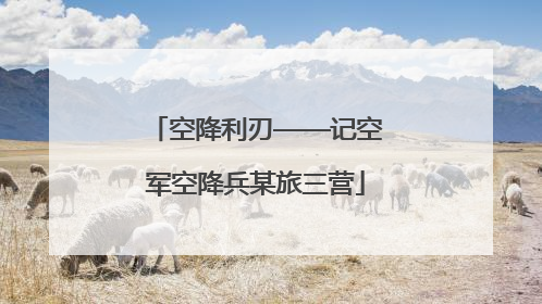 空降利刃——记空军空降兵某旅三营