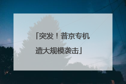 突发！普京专机遭大规模袭击