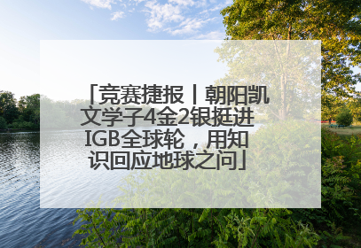 竞赛捷报丨朝阳凯文学子4金2银挺进IGB全球轮，用知识回应地球之问