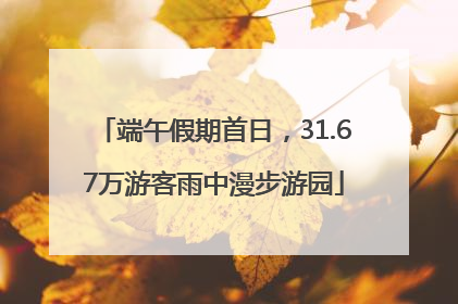 端午假期首日，31.67万游客雨中漫步游园