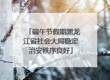 端午节假期黑龙江省社会大局稳定治安秩序良好