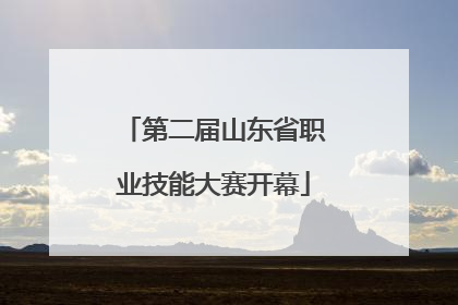 第二届山东省职业技能大赛开幕