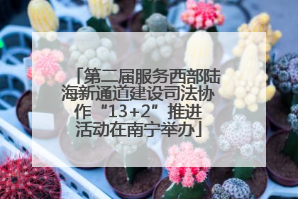 第二届服务西部陆海新通道建设司法协作“13+2”推进活动在南宁举办