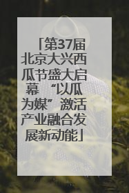 第37届北京大兴西瓜节盛大启幕 “以瓜为媒”激活产业融合发展新动能