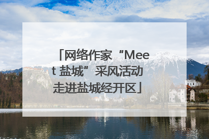 网络作家“Meet 盐城”采风活动走进盐城经开区