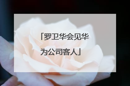 罗卫华会见华为公司客人