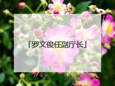 罗文俊任副厅长