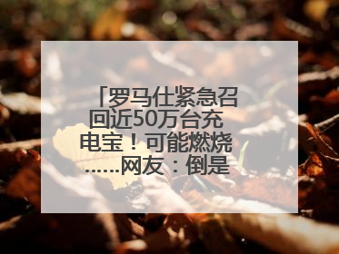 罗马仕紧急召回近50万台充电宝！可能燃烧……网友：倒是说明咋召回啊