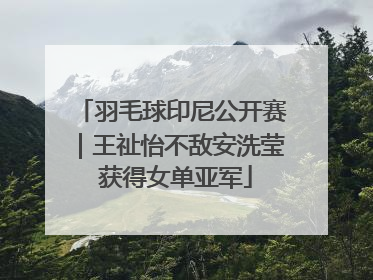 羽毛球印尼公开赛｜王祉怡不敌安洗莹 获得女单亚军