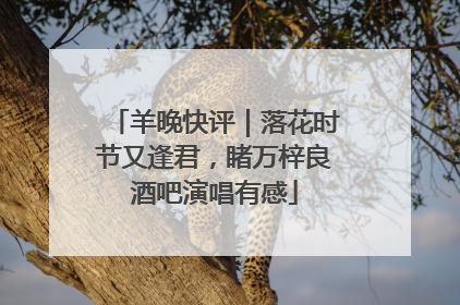 羊晚快评｜落花时节又逢君，睹万梓良酒吧演唱有感