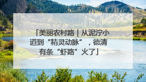 美丽农村路｜从泥泞小道到“精灵动脉”，德清有条“虾路”火了