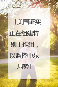 美国证实正在组建特别工作组，以监控中东局势