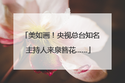 美如画！央视总台知名主持人来泉簪花……