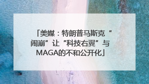 美媒：特朗普马斯克“闹崩”让“科技右翼”与MAGA的不和公开化
