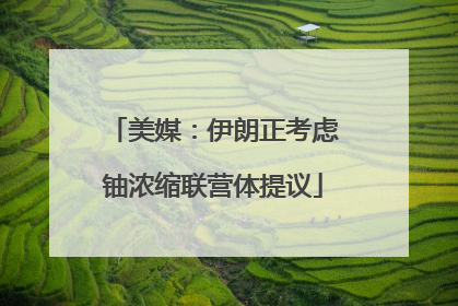 美媒：伊朗正考虑铀浓缩联营体提议