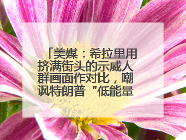 美媒：希拉里用挤满街头的示威人群画面作对比，嘲讽特朗普“低能量”阅兵式观众少