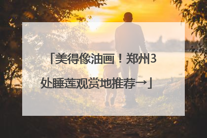 美得像油画！郑州3处睡莲观赏地推荐→